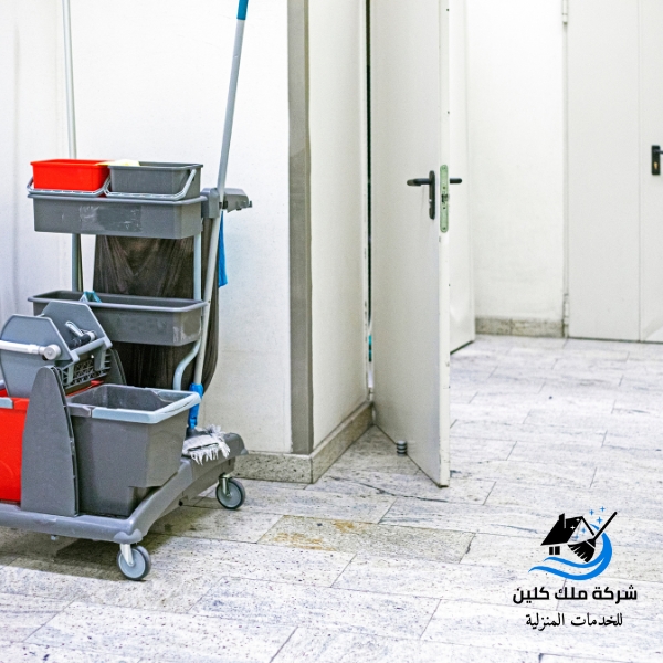 شركة تنظيف منازل بابها