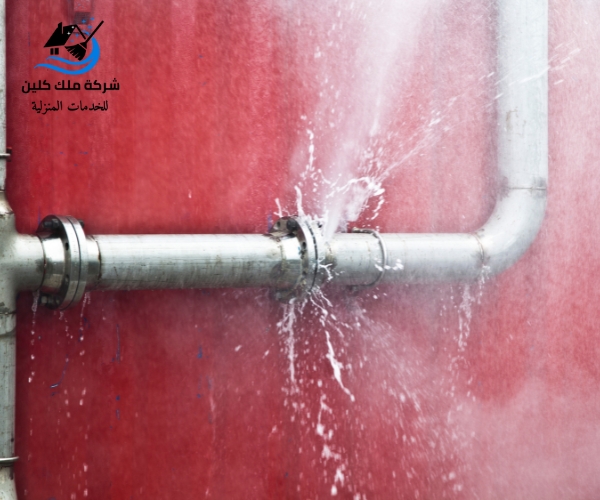 شركة كشف تسربات بابها