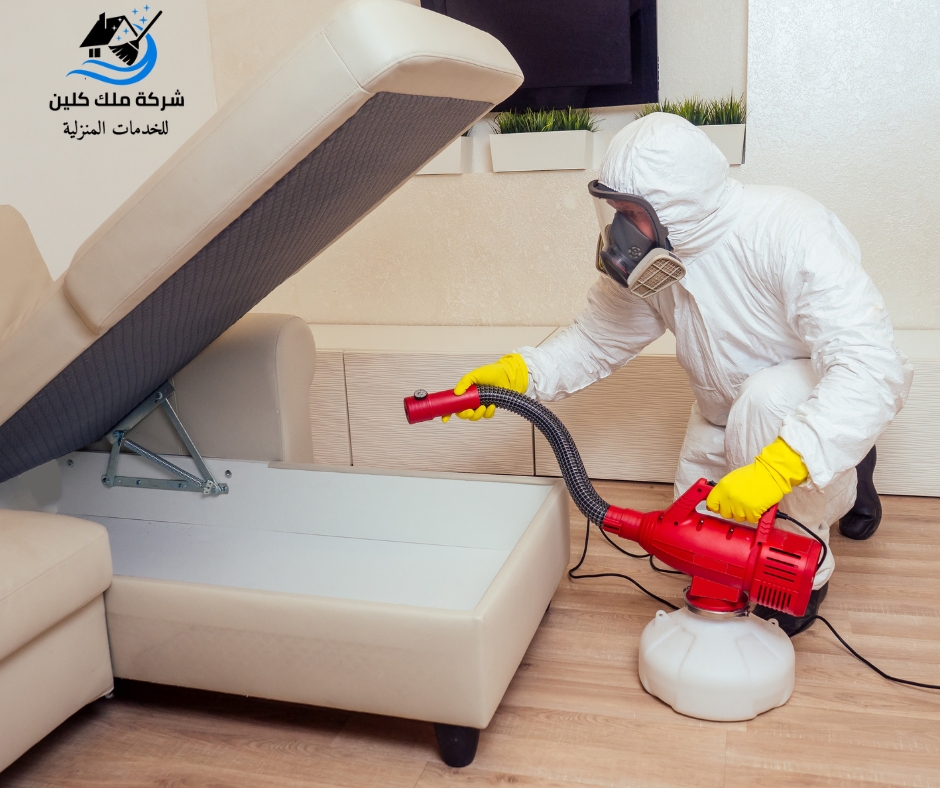 شركة مكافحة حشرات بابها