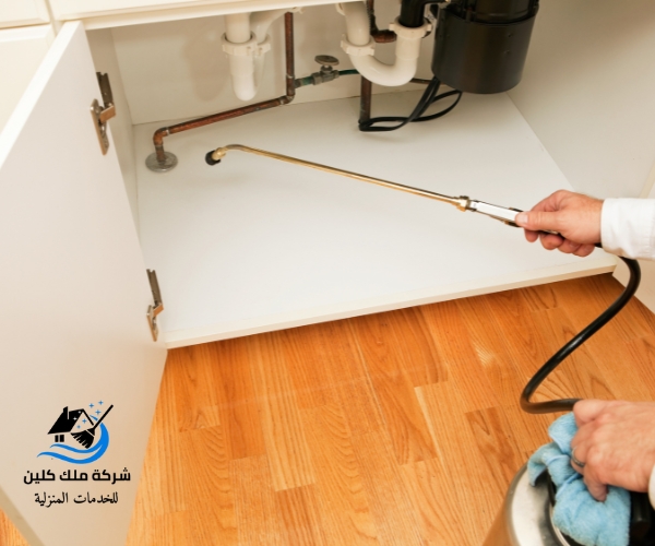 شركة مكافحة حشرات بخميس مشيط